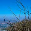Cowles Mountain in San Diego photo, August 2013